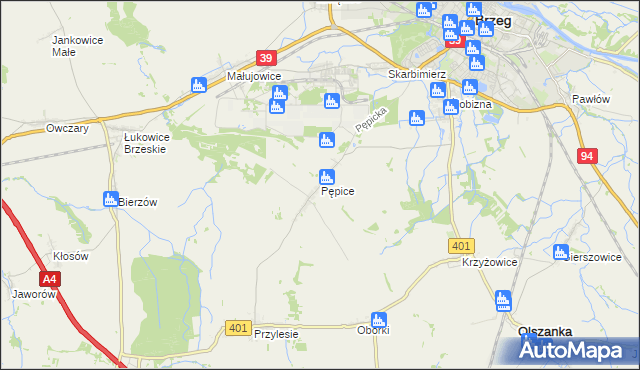 mapa Pępice gmina Skarbimierz, Pępice gmina Skarbimierz na mapie Targeo
