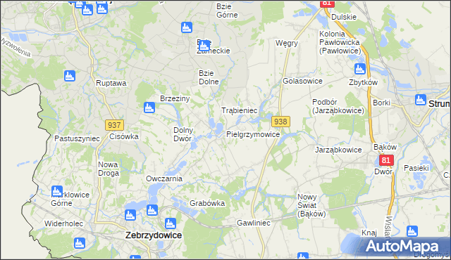 mapa Pielgrzymowice gmina Pawłowice, Pielgrzymowice gmina Pawłowice na mapie Targeo