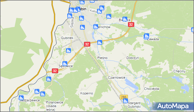 mapa Pleśno gmina Gubin, Pleśno gmina Gubin na mapie Targeo