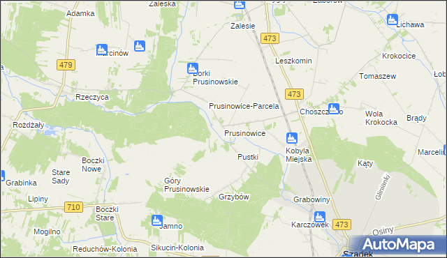 mapa Prusinowice gmina Szadek, Prusinowice gmina Szadek na mapie Targeo