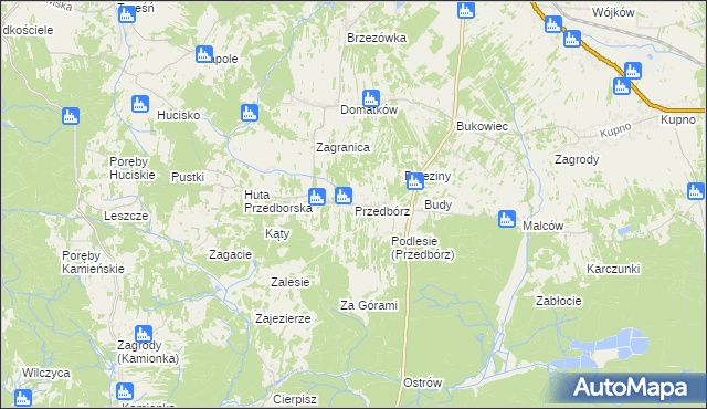 mapa Przedbórz gmina Kolbuszowa, Przedbórz gmina Kolbuszowa na mapie Targeo