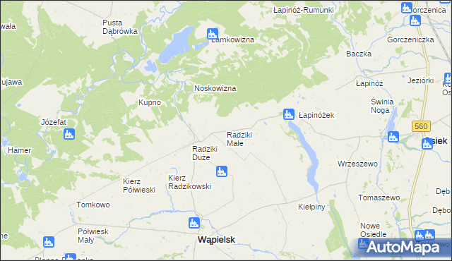 mapa Radziki Małe, Radziki Małe na mapie Targeo