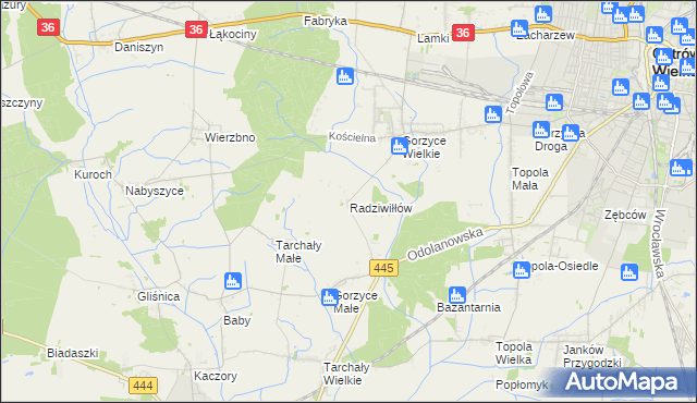 mapa Radziwiłłów gmina Ostrów Wielkopolski, Radziwiłłów gmina Ostrów Wielkopolski na mapie Targeo