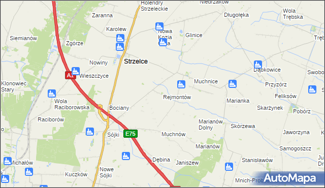 mapa Rejmontów, Rejmontów na mapie Targeo