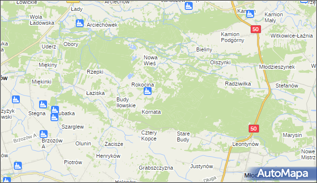 mapa Rokicina, Rokicina na mapie Targeo