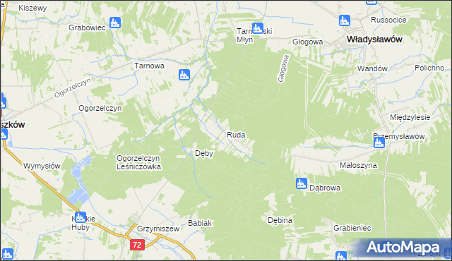 mapa Ruda gmina Tuliszków, Ruda gmina Tuliszków na mapie Targeo