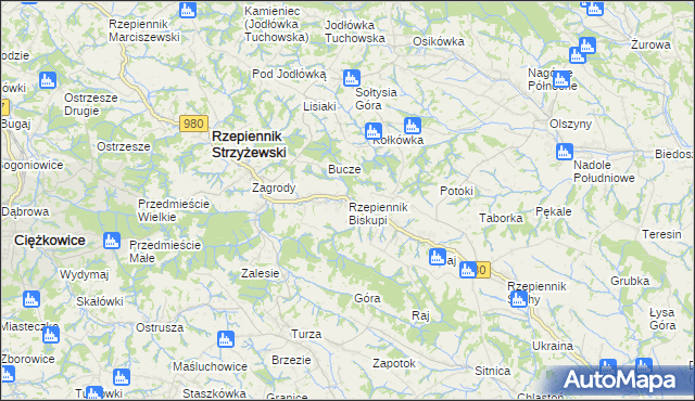 mapa Rzepiennik Biskupi, Rzepiennik Biskupi na mapie Targeo