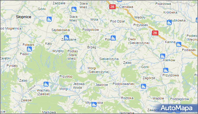 mapa Siekierczyna gmina Limanowa, Siekierczyna gmina Limanowa na mapie Targeo