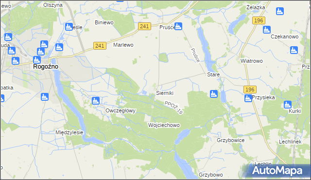 mapa Sierniki gmina Rogoźno, Sierniki gmina Rogoźno na mapie Targeo