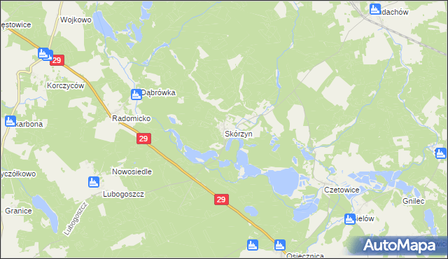 mapa Skórzyn gmina Maszewo, Skórzyn gmina Maszewo na mapie Targeo