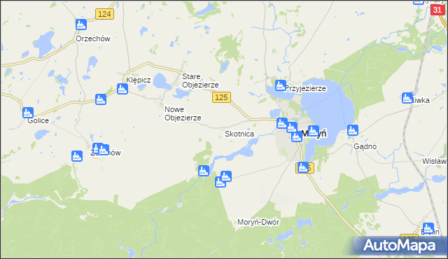mapa Skotnica gmina Moryń, Skotnica gmina Moryń na mapie Targeo