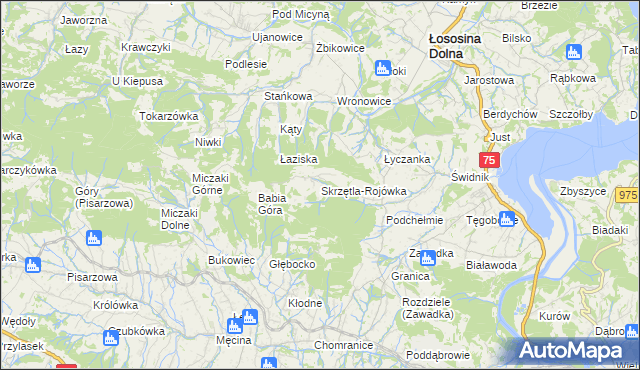 mapa Skrzętla-Rojówka, Skrzętla-Rojówka na mapie Targeo