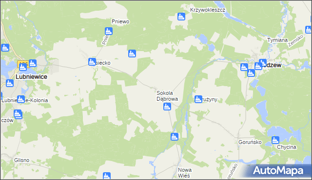 mapa Sokola Dąbrowa, Sokola Dąbrowa na mapie Targeo