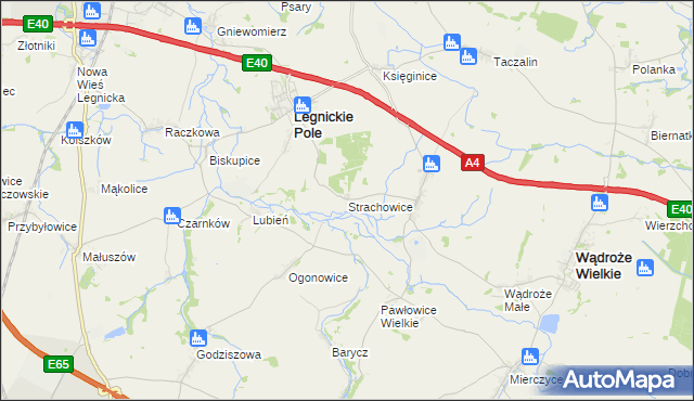 mapa Strachowice gmina Legnickie Pole, Strachowice gmina Legnickie Pole na mapie Targeo