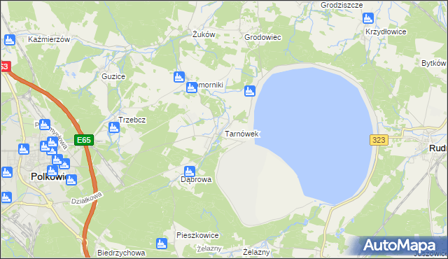 mapa Tarnówek gmina Polkowice, Tarnówek gmina Polkowice na mapie Targeo