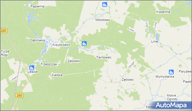 mapa Tarnowiec gmina Lwówek, Tarnowiec gmina Lwówek na mapie Targeo