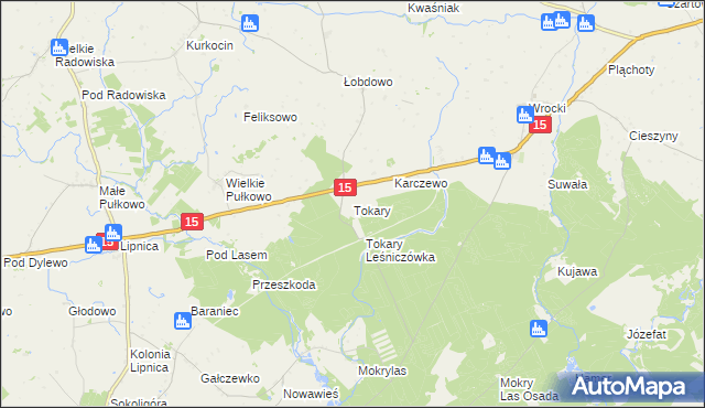 mapa Tokary gmina Golub-Dobrzyń, Tokary gmina Golub-Dobrzyń na mapie Targeo