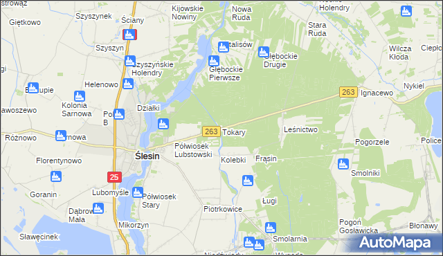 mapa Tokary gmina Ślesin, Tokary gmina Ślesin na mapie Targeo