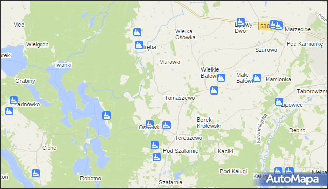 mapa Tomaszewo gmina Kurzętnik, Tomaszewo gmina Kurzętnik na mapie Targeo