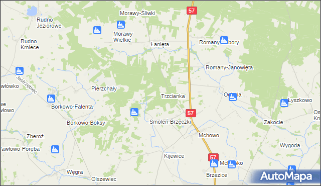 mapa Trzcianka gmina Przasnysz, Trzcianka gmina Przasnysz na mapie Targeo