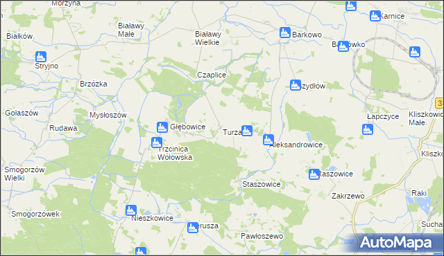 mapa Turzany gmina Wińsko, Turzany gmina Wińsko na mapie Targeo