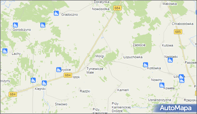 mapa Tyniewicze Duże, Tyniewicze Duże na mapie Targeo