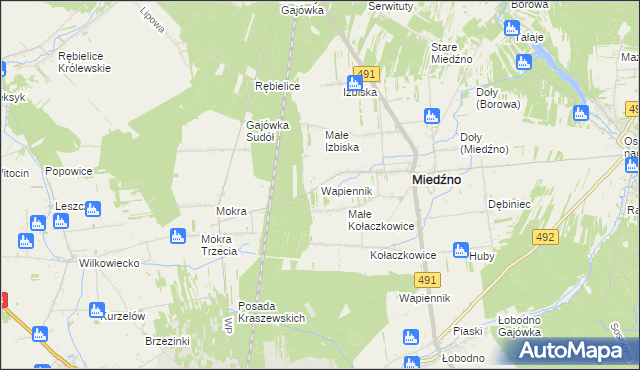 mapa Wapiennik gmina Miedźno, Wapiennik gmina Miedźno na mapie Targeo