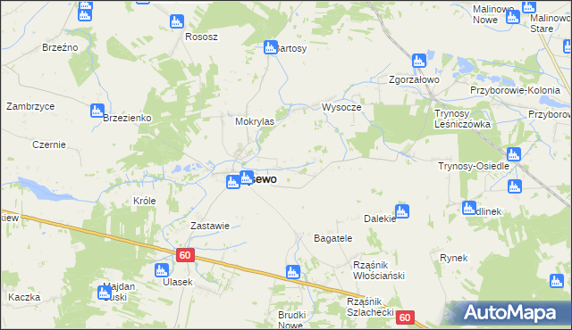 mapa Wąsewo-Kolonia, Wąsewo-Kolonia na mapie Targeo