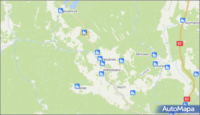 mapa Wesołowo gmina Wielbark, Wesołowo gmina Wielbark na mapie Targeo