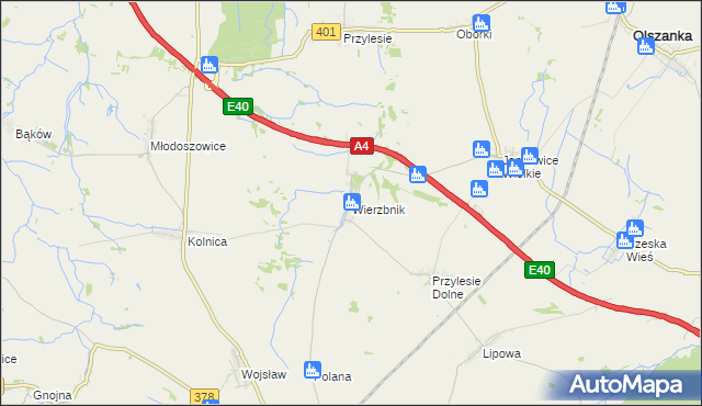 mapa Wierzbnik gmina Grodków, Wierzbnik gmina Grodków na mapie Targeo