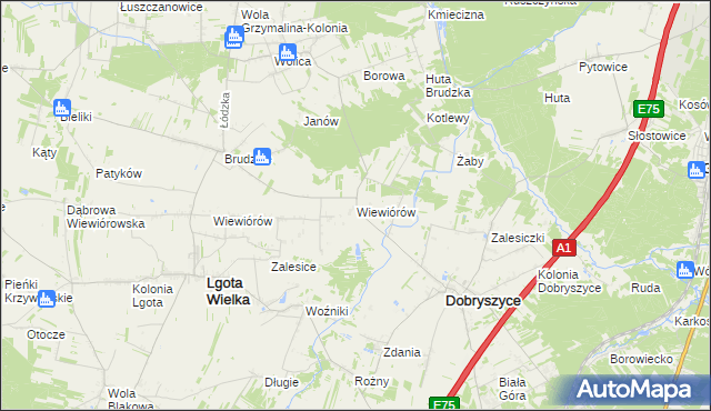 mapa Wiewiórów gmina Dobryszyce, Wiewiórów gmina Dobryszyce na mapie Targeo