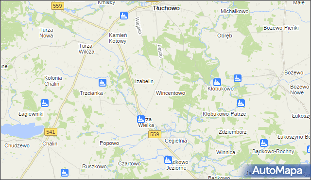 mapa Wincentowo gmina Brudzeń Duży, Wincentowo gmina Brudzeń Duży na mapie Targeo