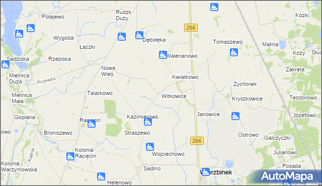 mapa Witkowice gmina Wierzbinek, Witkowice gmina Wierzbinek na mapie Targeo