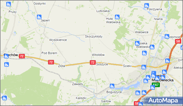 mapa Witoldów gmina Głuchów, Witoldów gmina Głuchów na mapie Targeo