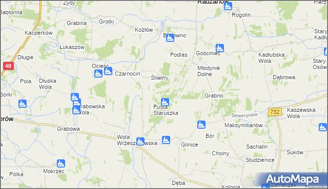 mapa Witoldów gmina Przytyk, Witoldów gmina Przytyk na mapie Targeo