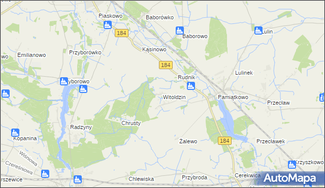 mapa Witoldzin gmina Szamotuły, Witoldzin gmina Szamotuły na mapie Targeo