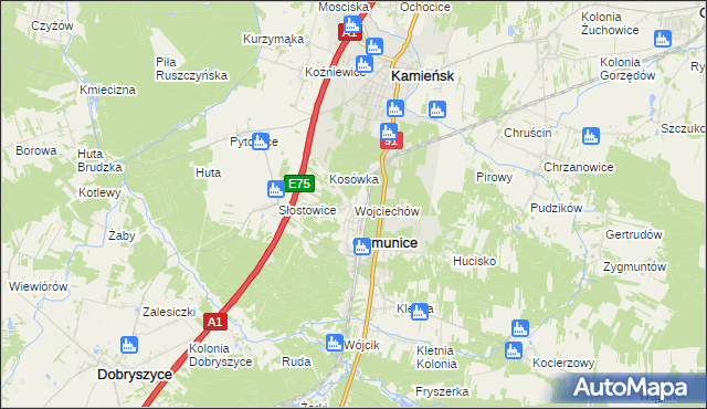 mapa Wojciechów gmina Gomunice, Wojciechów gmina Gomunice na mapie Targeo