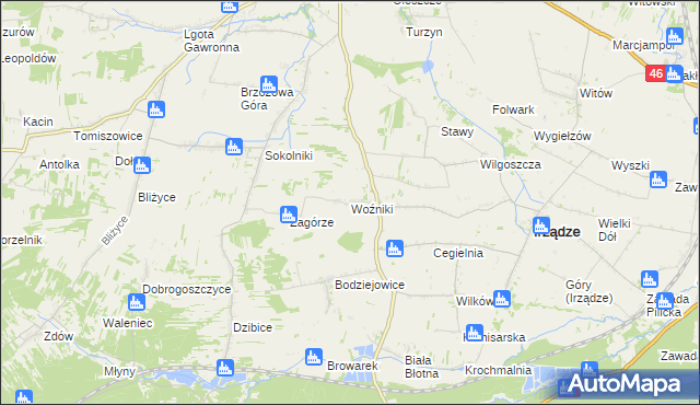 mapa Woźniki gmina Irządze, Woźniki gmina Irządze na mapie Targeo