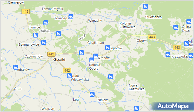 mapa Wronów gmina Gizałki, Wronów gmina Gizałki na mapie Targeo