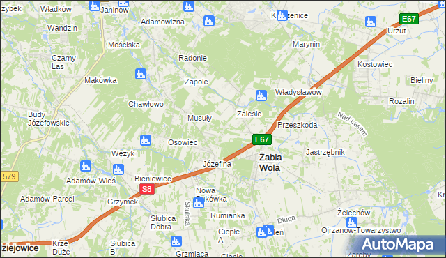 mapa Wycinki Osowskie, Wycinki Osowskie na mapie Targeo