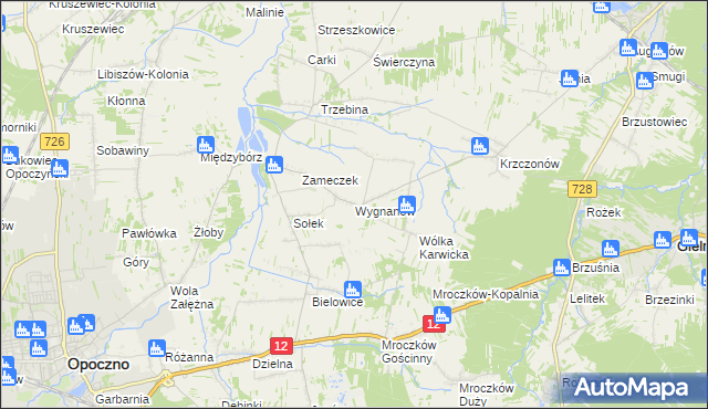 mapa Wygnanów gmina Opoczno, Wygnanów gmina Opoczno na mapie Targeo