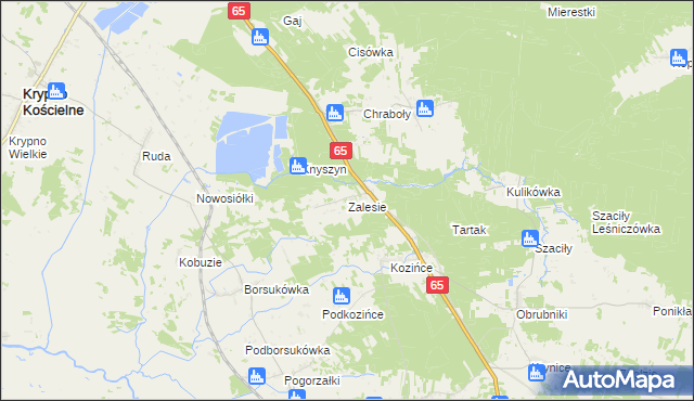 mapa Zalesie gmina Dobrzyniewo Duże, Zalesie gmina Dobrzyniewo Duże na mapie Targeo