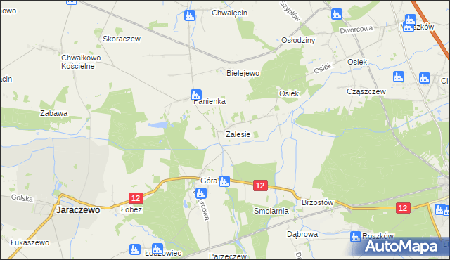 mapa Zalesie gmina Jaraczewo, Zalesie gmina Jaraczewo na mapie Targeo