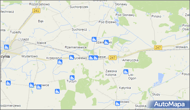 mapa Zalesie gmina Szubin, Zalesie gmina Szubin na mapie Targeo
