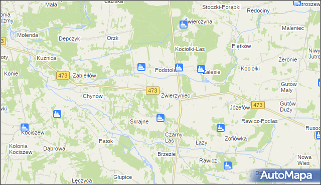 mapa Zwierzyniec gmina Drużbice, Zwierzyniec gmina Drużbice na mapie Targeo