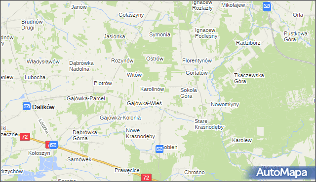 mapa Anastazew gmina Parzęczew, Anastazew gmina Parzęczew na mapie Targeo