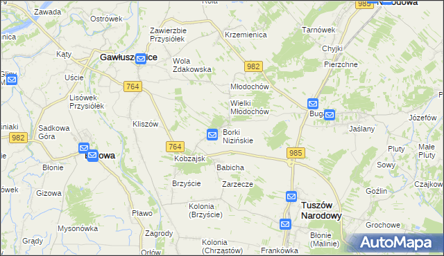 mapa Borki Nizińskie, Borki Nizińskie na mapie Targeo