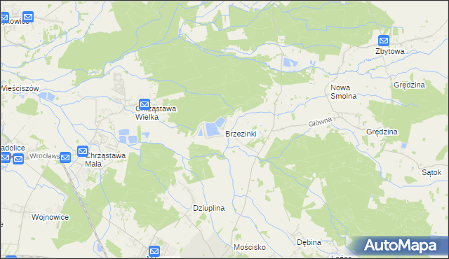 mapa Brzezinki gmina Jelcz-Laskowice, Brzezinki gmina Jelcz-Laskowice na mapie Targeo