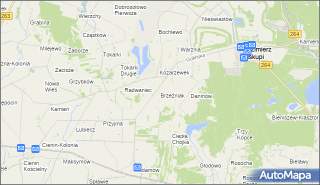 mapa Brzeźniak gmina Golina, Brzeźniak gmina Golina na mapie Targeo