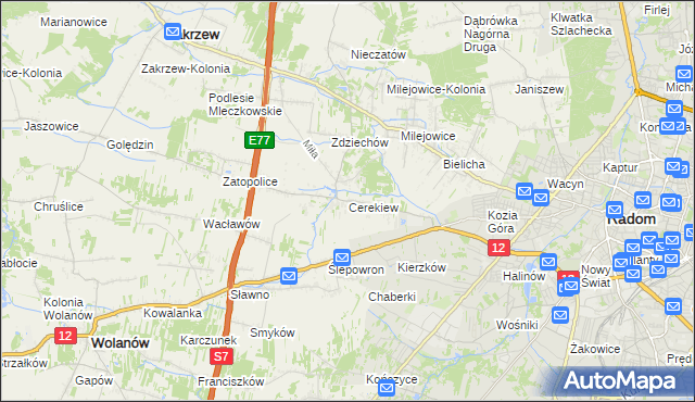 mapa Cerekiew gmina Zakrzew, Cerekiew gmina Zakrzew na mapie Targeo